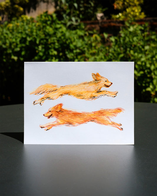 Custom Pet Portrait - Ink & Colored Pencil