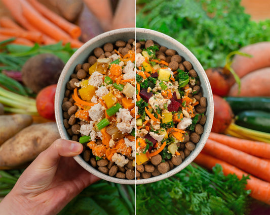 Hand holding a bowl of pet food with vegetables in the background