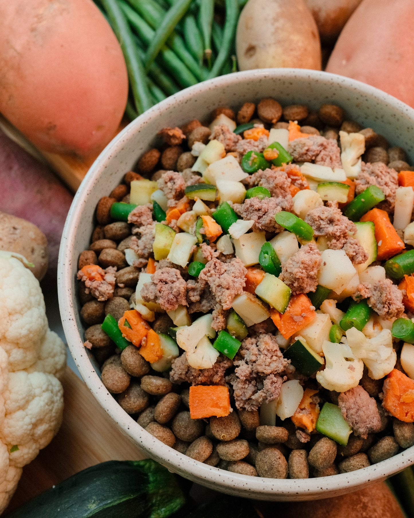 Pet food bowl with a mix of cooked ground meat, fresh vegetables, and kibble.