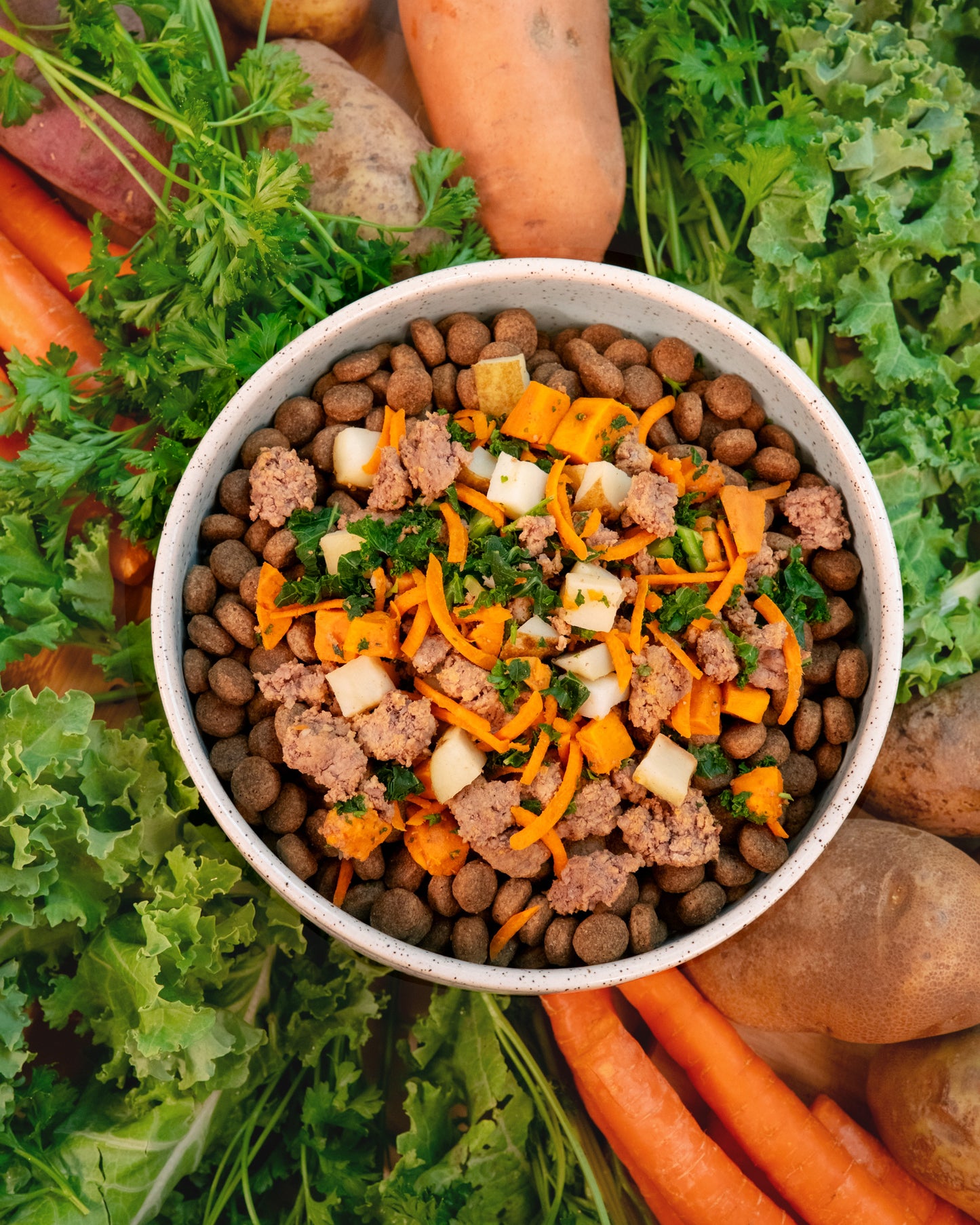 Dog food bowl with kibble, ground meat, and vegetables surrounded by fresh vegetables