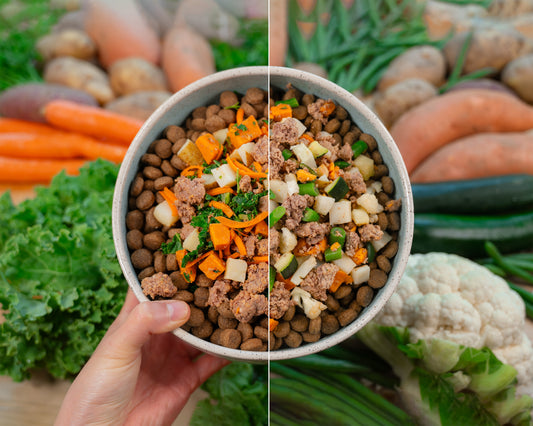 Split-screen showing a bowl of pet food with vegetables on one side and a hand holding the bowl on the other, surrounded by fresh produce.
