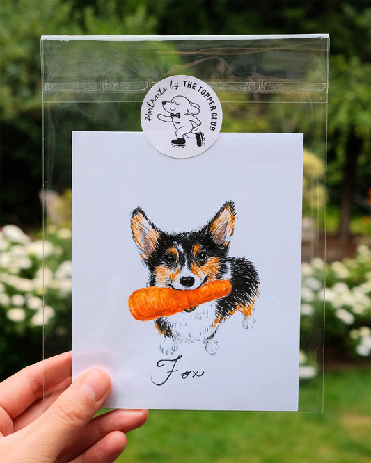 Custom Pet Portrait - Ink & Colored Pencil