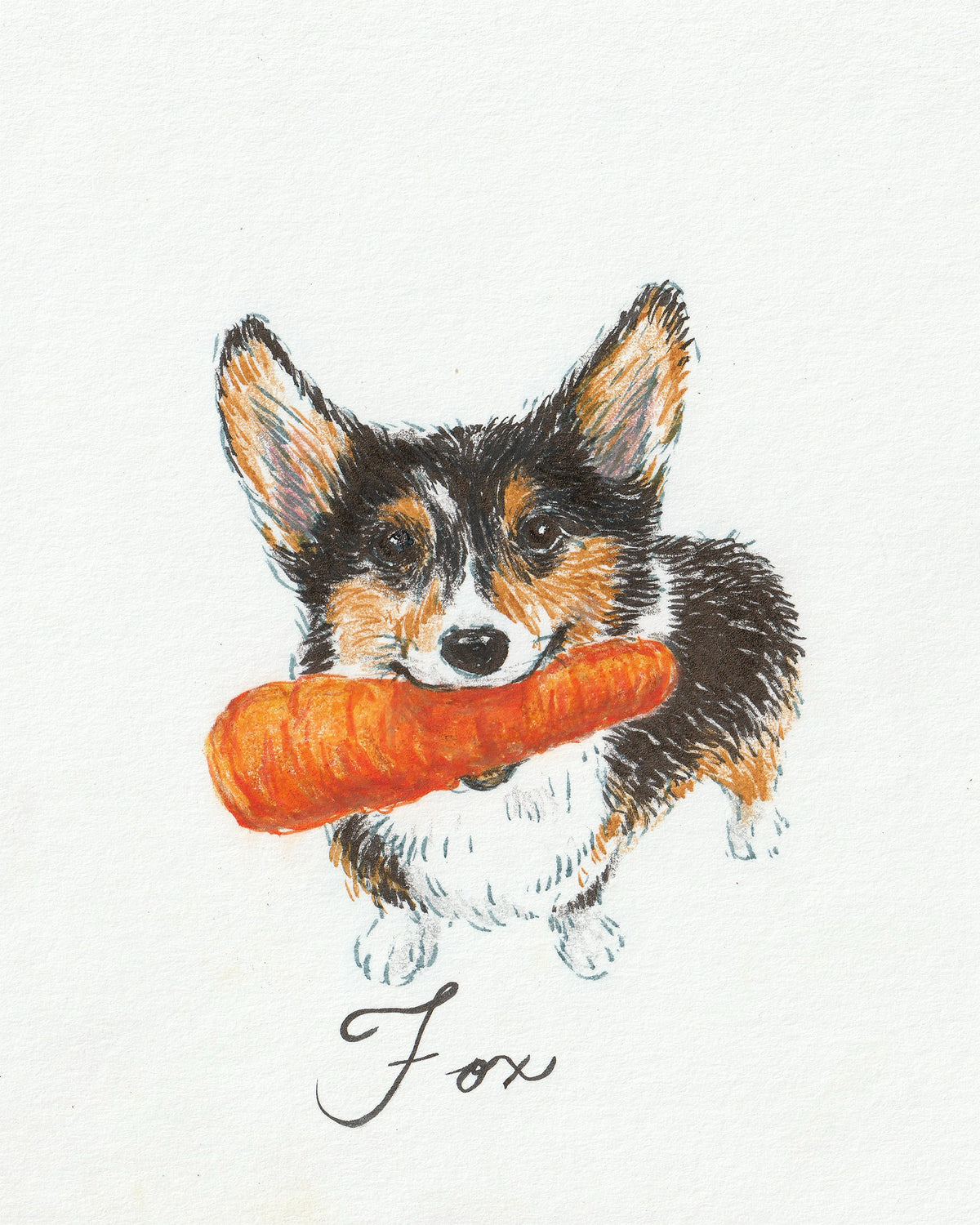 Custom Pet Portrait - Ink & Colored Pencil