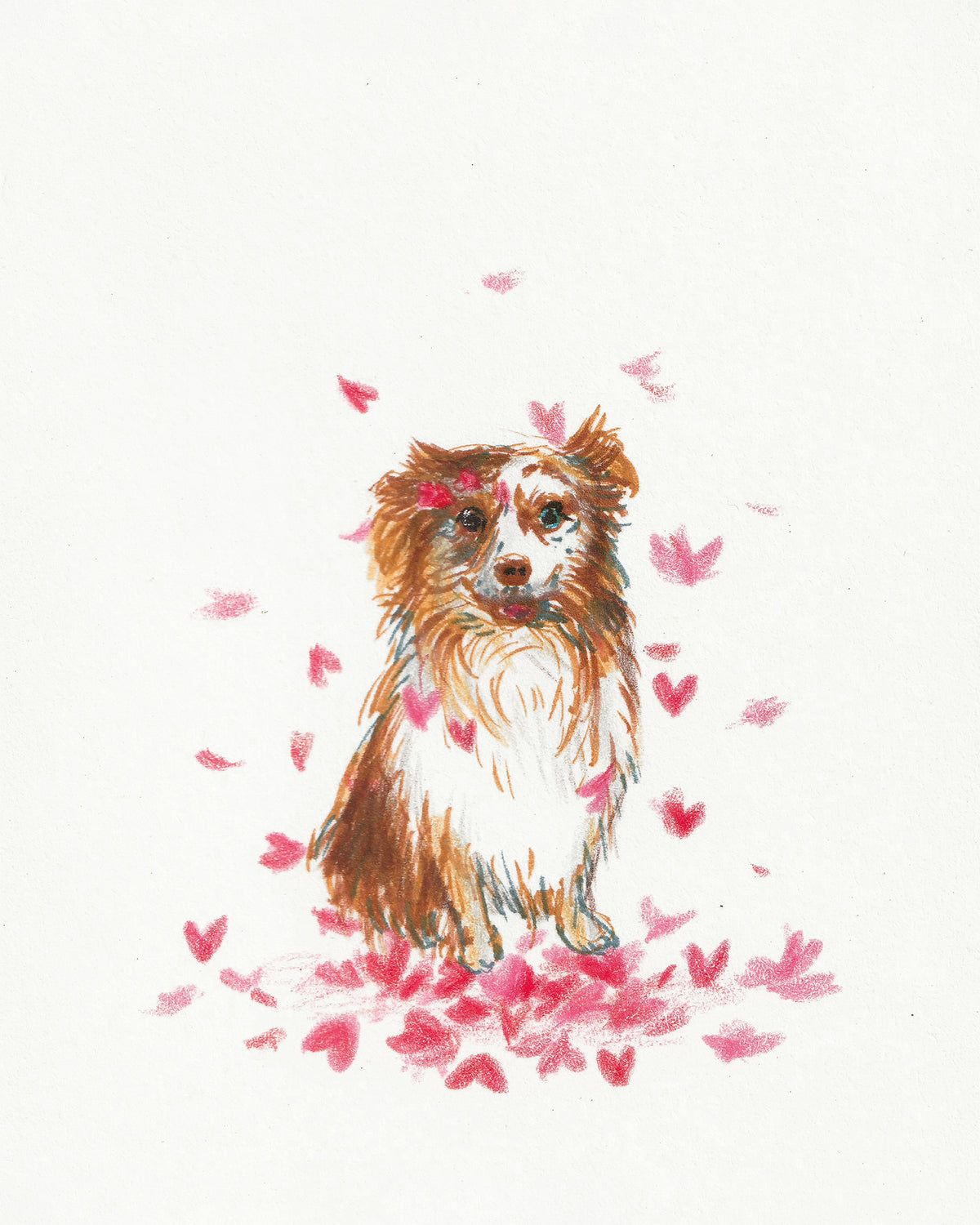 Custom Pet Portrait - Ink & Colored Pencil