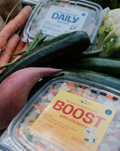 Plastic containers with fresh dog food toppers surrounded by fresh produce