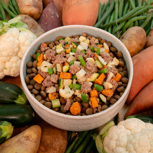 Bowl of pet food with vegetables on a bed of vegetables