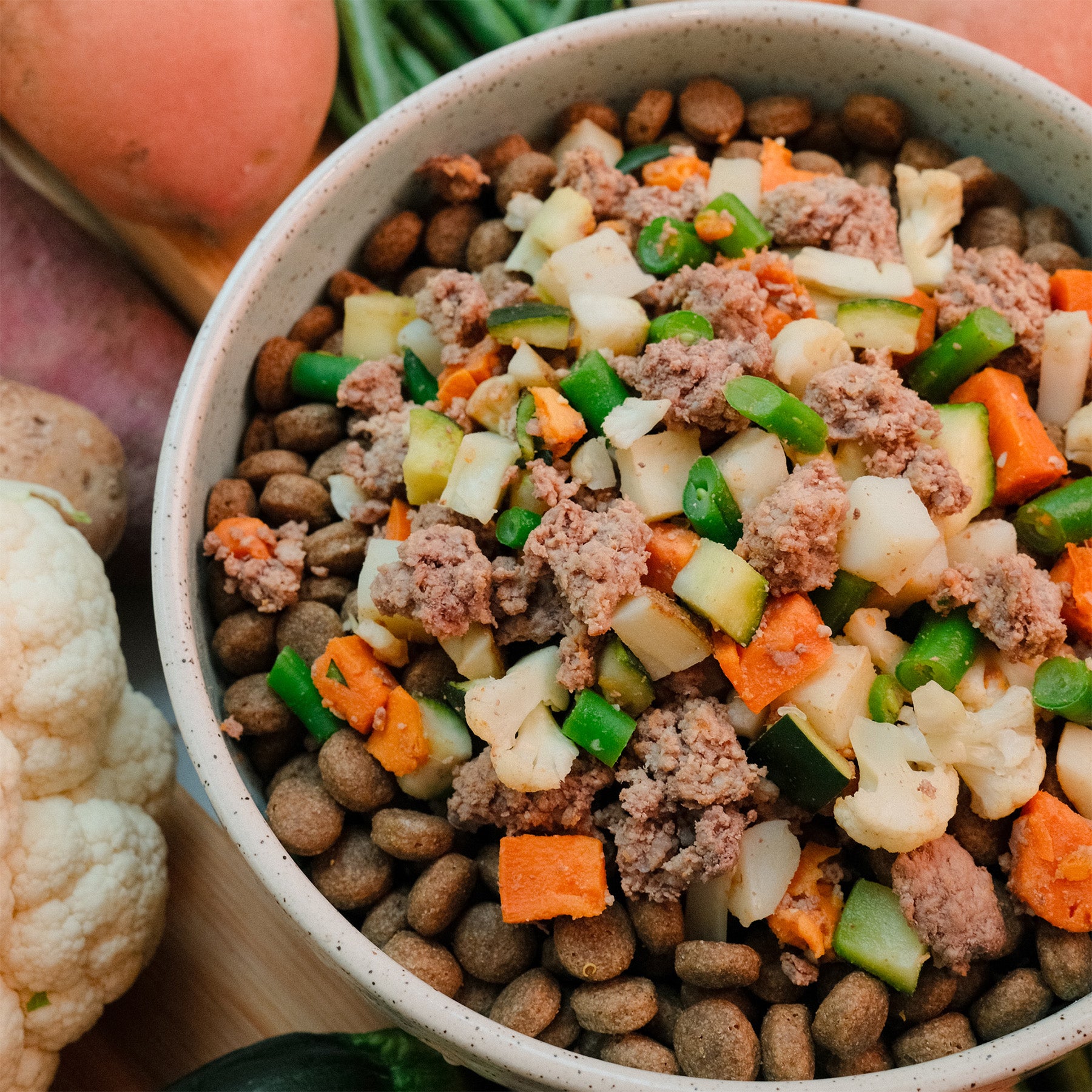 Dog food bowl with kibble, ground meat, and vegetables on a wooden surface
