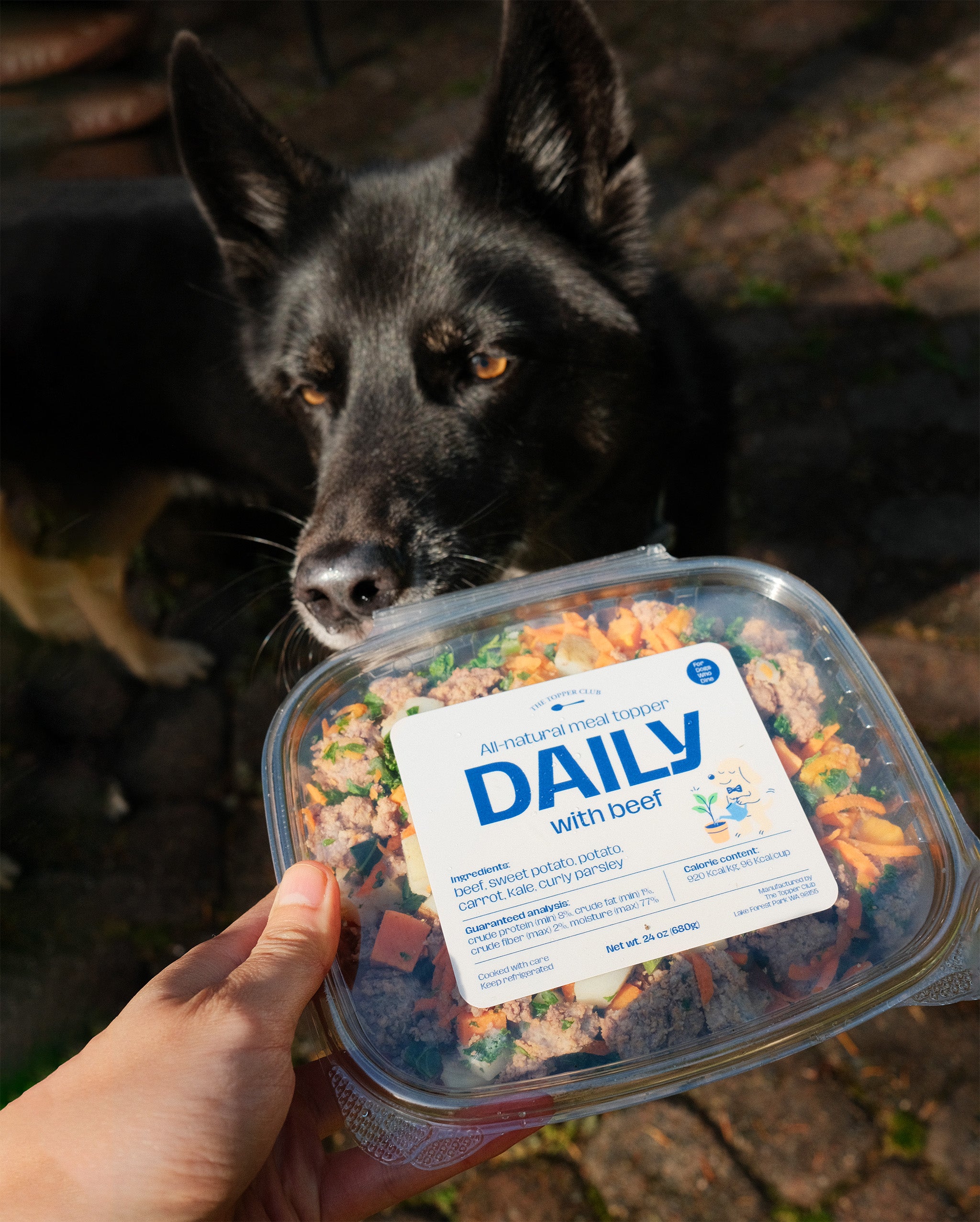 Dog looking at a container of The Topper Club's 'DAILY with Beef' pet food