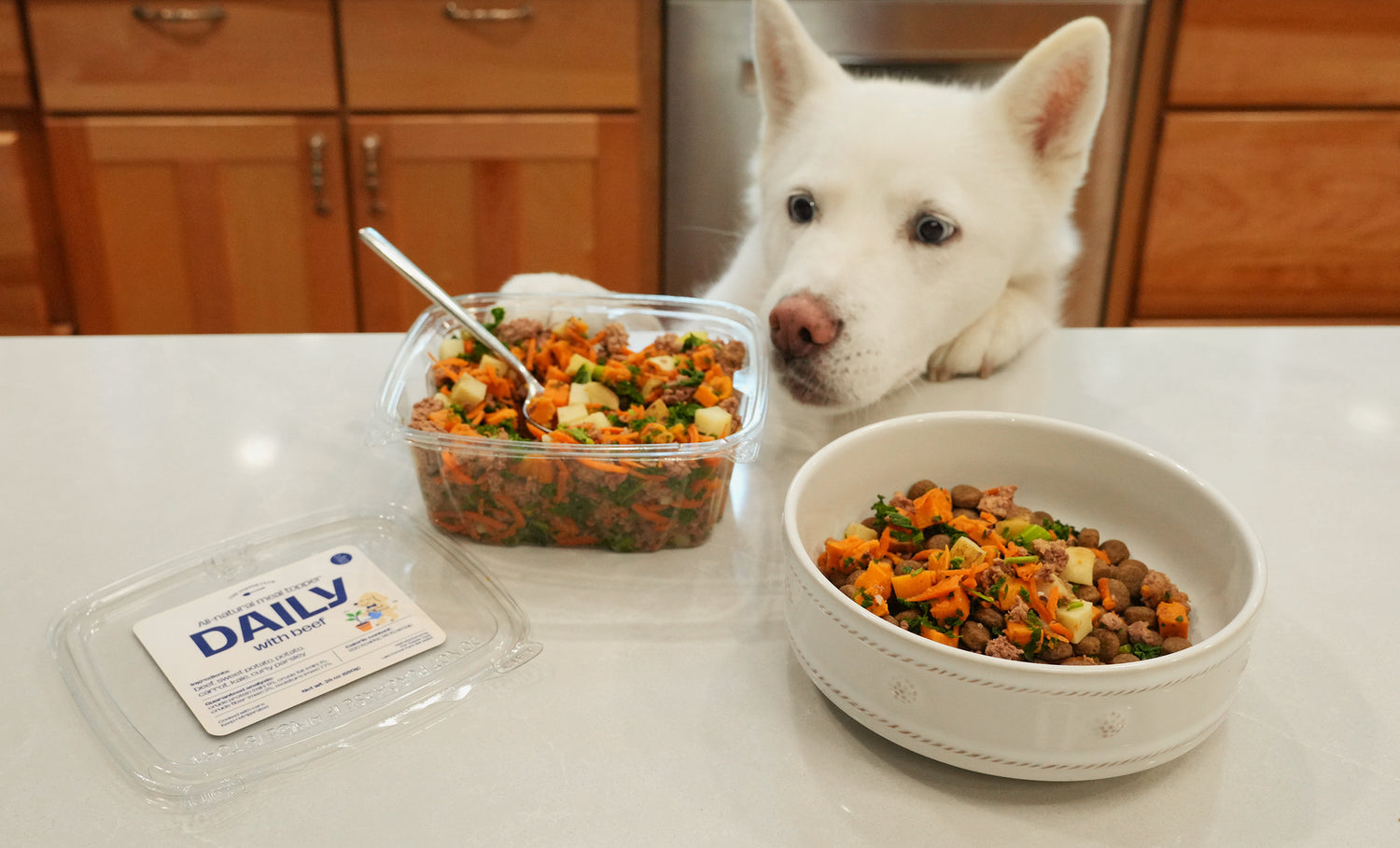 Dog looking at a bowl of food on a kitchen counter with a container labeled 'DAILY'.