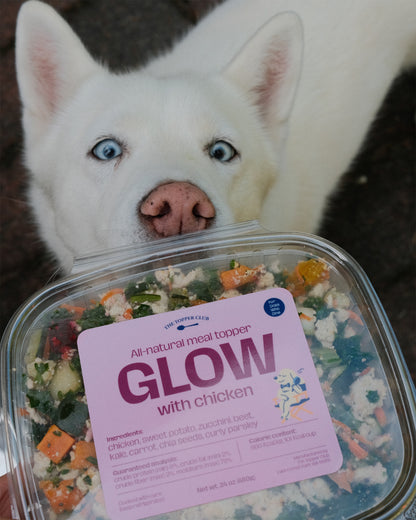 White dog with blue eyes looking at a container of 'GLOW' dog meal topper with chicken